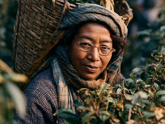 Assamese Plantation Worker